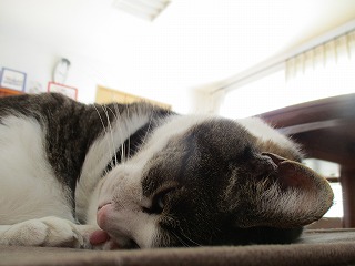 IMG_6150ss.jpg