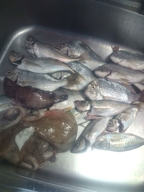 20120617081353.jpg