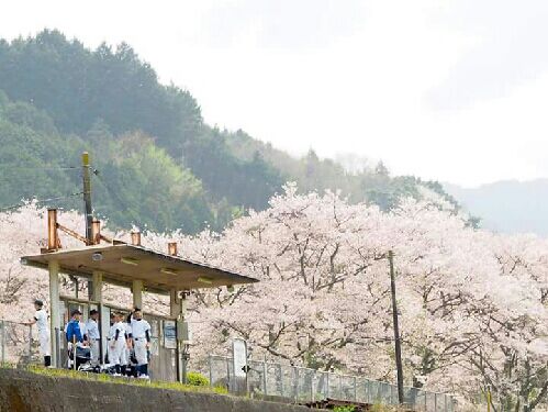rblog-20150405011956-02.jpg