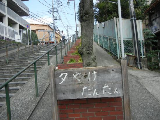 DSCN7381.JPG