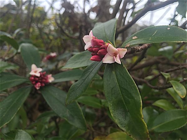 rblog-20160223045052-04.jpg