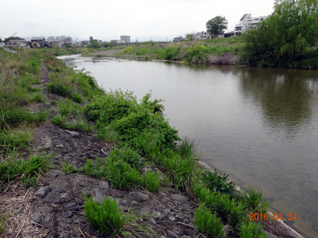 萩原橋.jpg