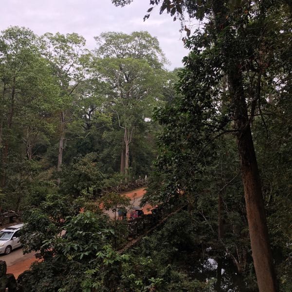 rblog-20180719091043-01.jpg