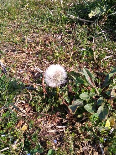 rblog-20180304093649-01.jpg
