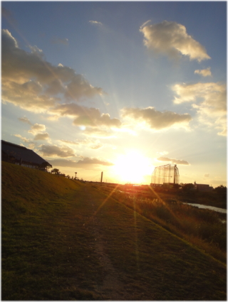 1023夕方5.jpg