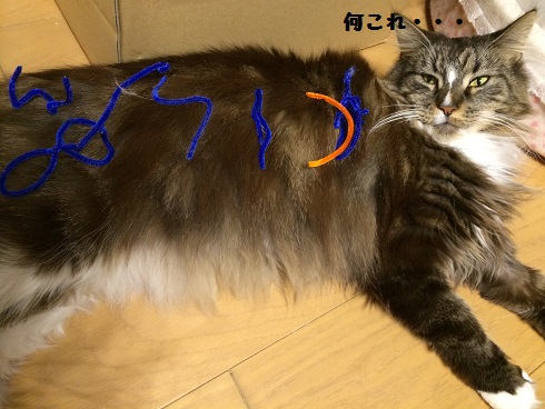ナイル