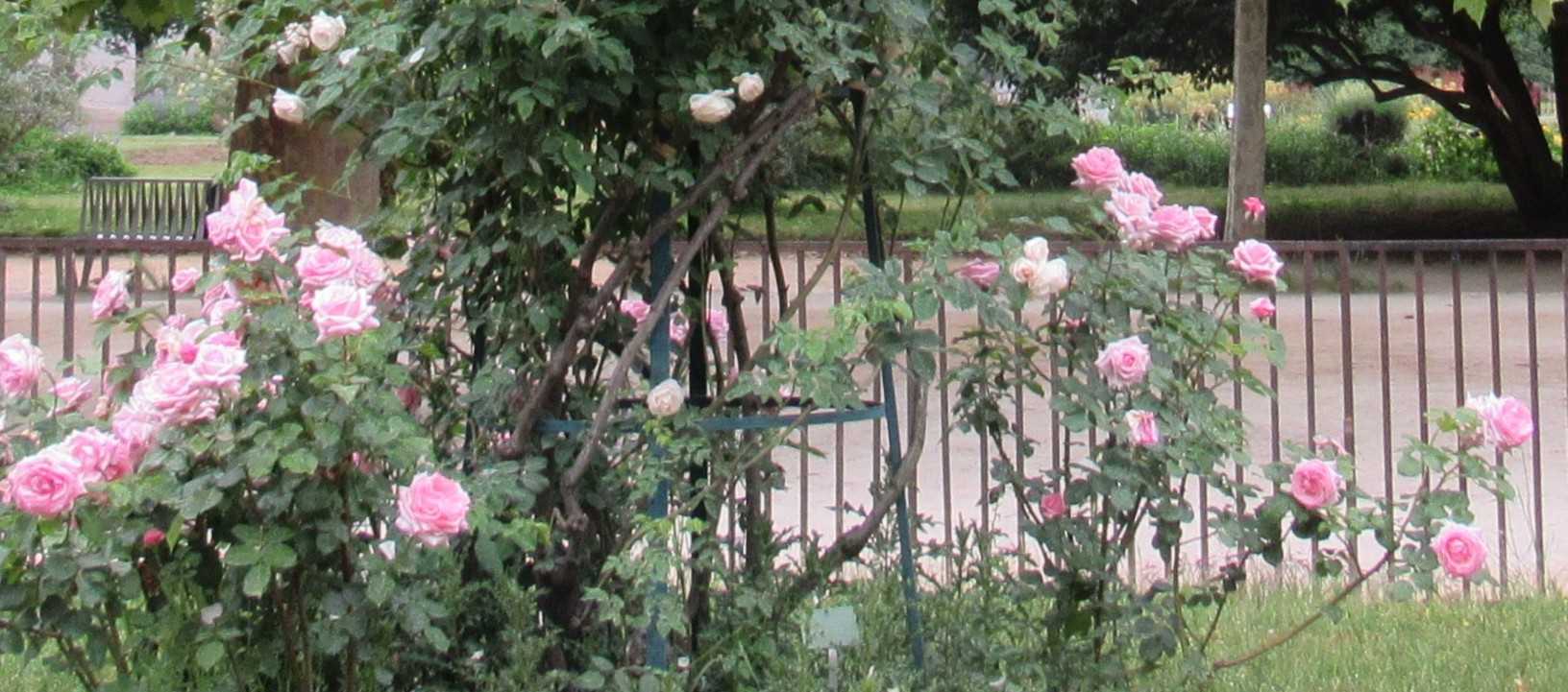 ロズモンドの華麗にフランス en France