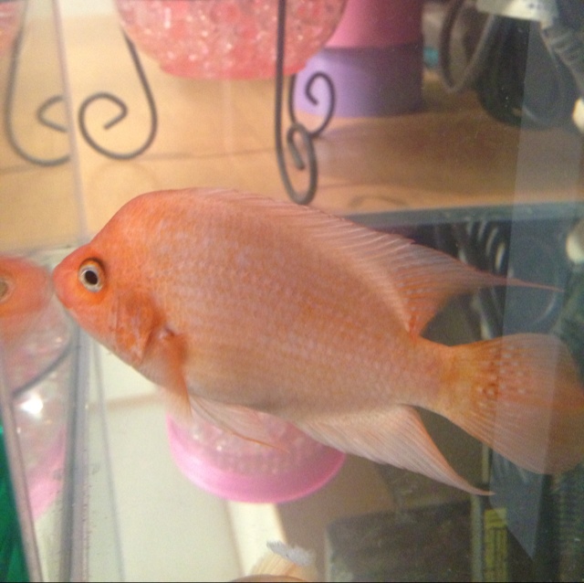 rblog-20130417110848-00.jpg