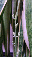 rblog-20130803230915-00.png
