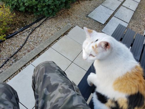 rblog-20181021190148-05.jpg