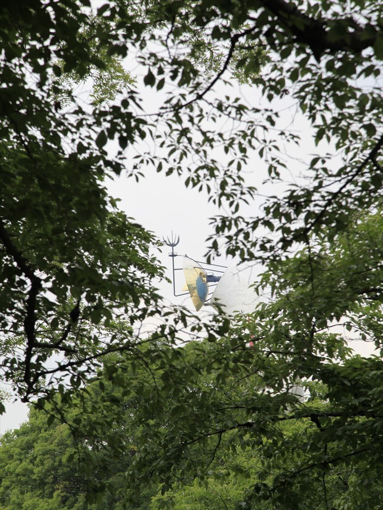 本日の壱枚の写真 大阪万博記念公園 その拾玖 植木屋の三代目をやってます村野園のブログです 楽天ブログ