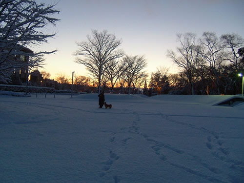 snow1-4
