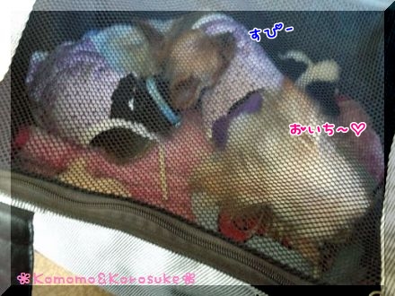 IMG_20121103_111803.jpg