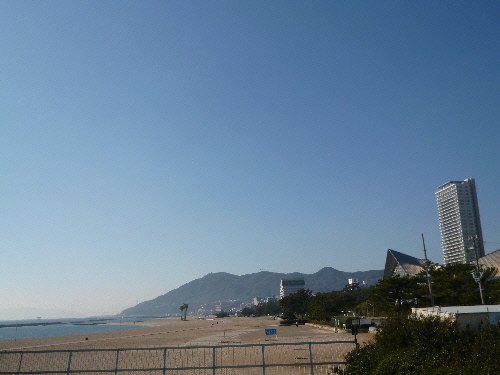 P1150101(1).JPG