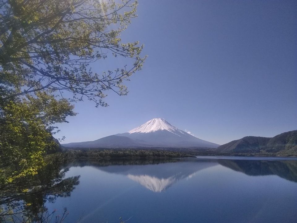 5月のみずうみ 富士五湖からの富士山 本栖湖 精進湖 西湖 醍醐山と下部 しもべ 温泉 楽天ブログ