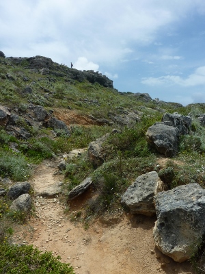 245 (300x400).jpg