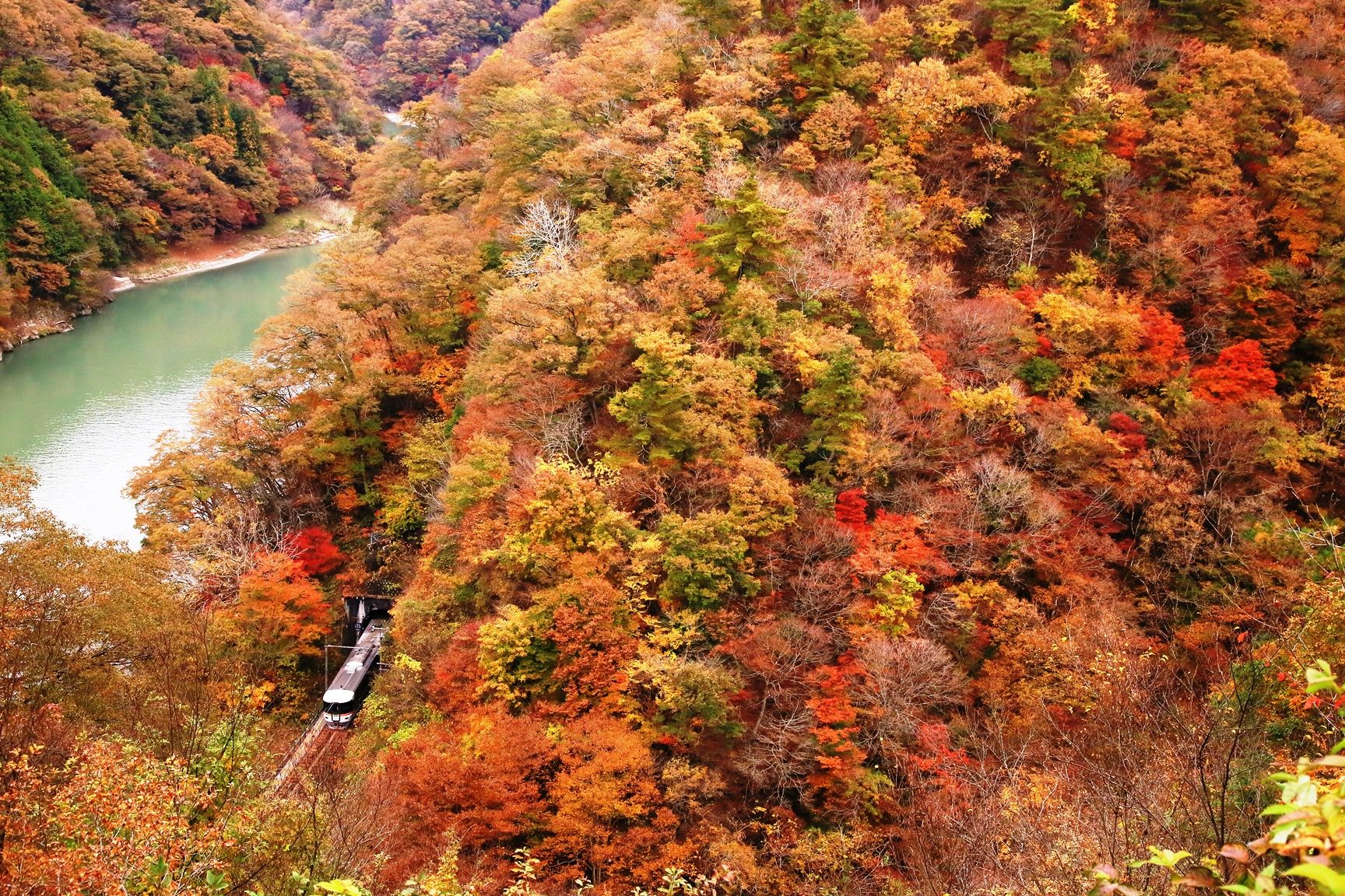飯田線の紅葉は 気ままにｌｏｖｅ２ 楽天ブログ