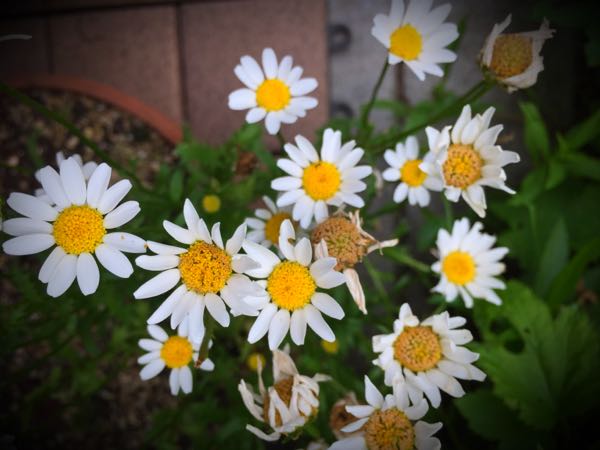 rblog-20150528193755-04.jpg