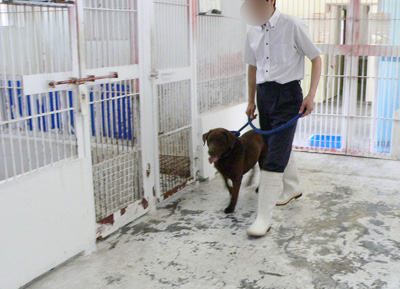 20140505q.jpg