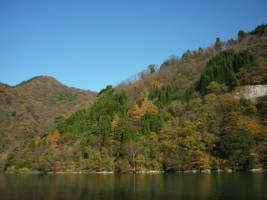 P1180595.JPG