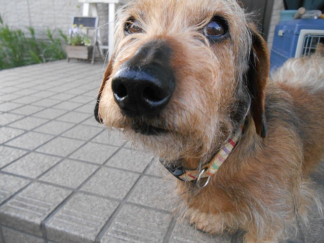 DSCN0382.JPG