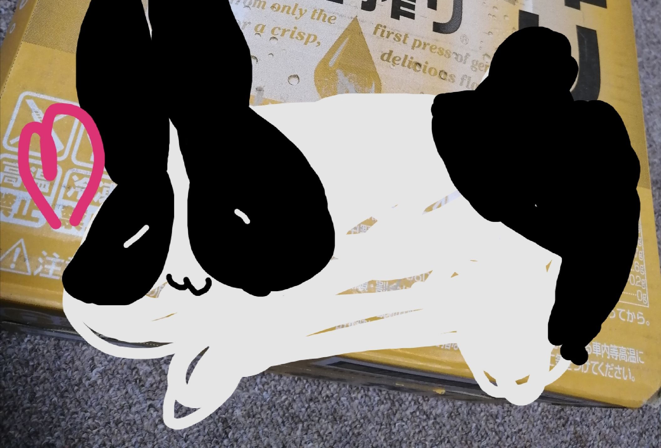 アラサー女の日常ブログ