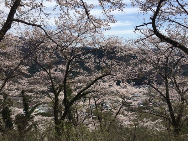 rblog-20170414000747-06.jpg