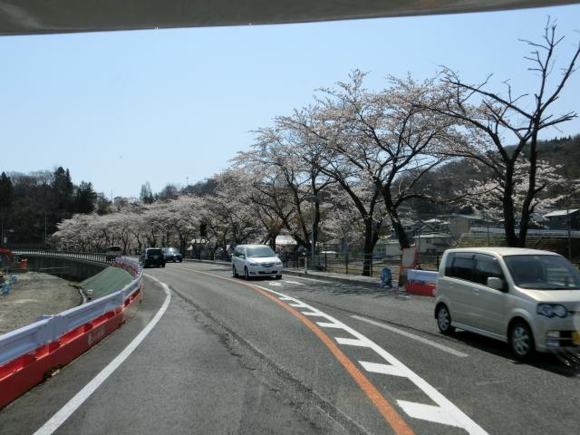 CIMG3154.jpg