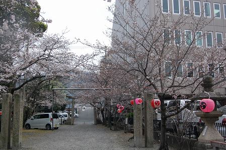 s-DSC_0536.jpg
