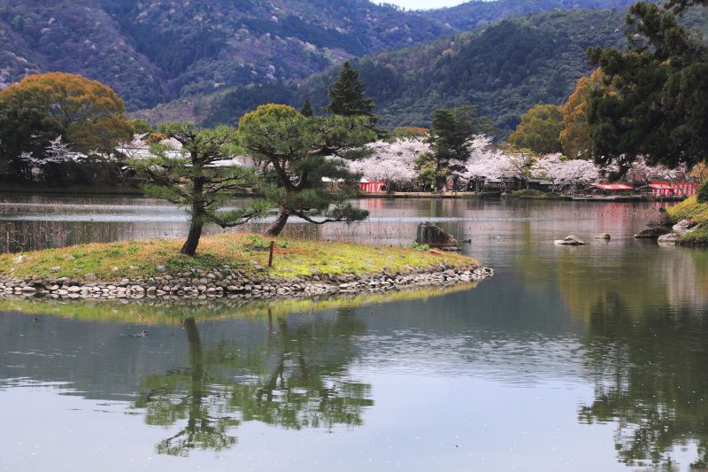 大沢池_002.jpg