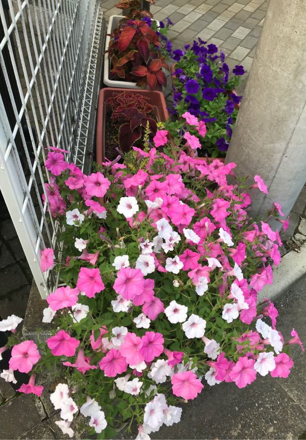 rblog-20180624181444-08.jpg