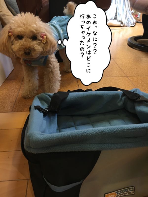 rblog-20170617165518-02.jpg