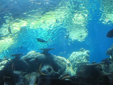 20140730over and over.jpg