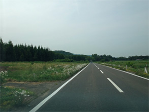 夏油1.jpg