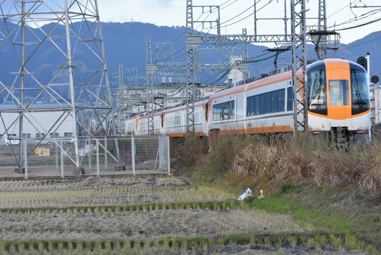 DSC_2278.JPG