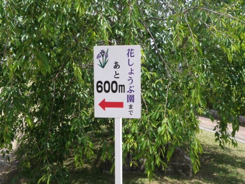 20140530_525.jpg
