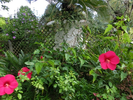 ボタニックガーデン