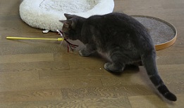 5DA_5986-7.jpg