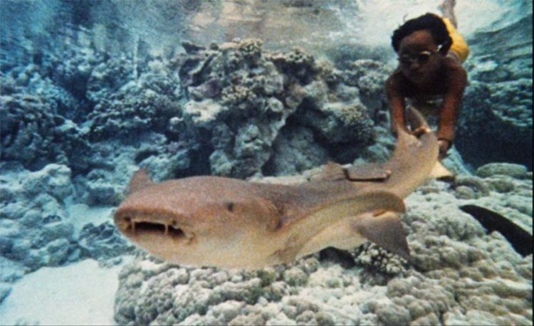 チコと鮫 1962年 アメリカ イタリア合作 おじなみの日記 楽天ブログ