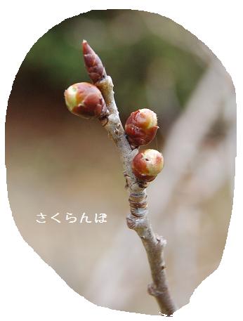 DSC_0140.JPG