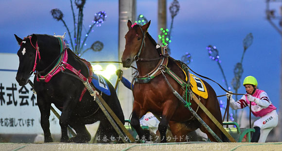 20141001Ob5RC1-1_02