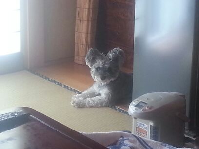 rblog-20141007231532-00.jpg