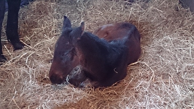 ボーデビューティ2014-1 (2).jpg