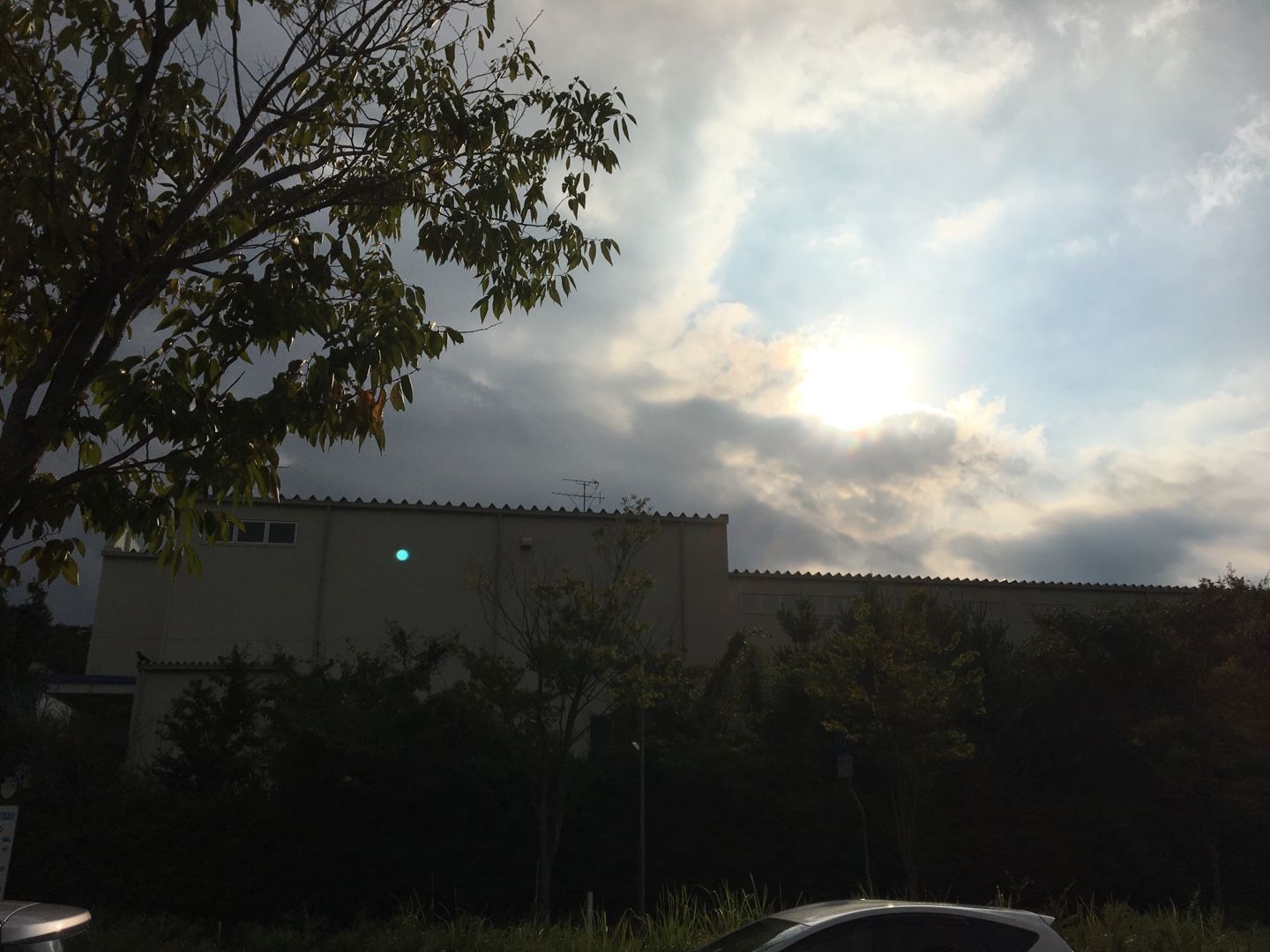 追いかけてくるオーブ 氣錬者 きれんじゃ の独り言 超常現象雑談日記 楽天ブログ 追いかけてくるオーブ 氣錬者 きれんじゃ の独り言 超常現象雑談日記 楽天ブログ