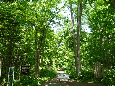 大沢公園口.jpg