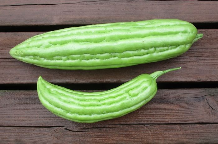 ゴーヤ ブルーベリー初収穫です 夏野菜の様子です 幸せの積み木 楽天ブログ
