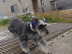 conv0773.JPG