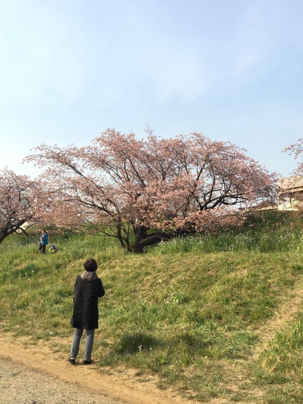 rblog-20170322013716-06.jpg
