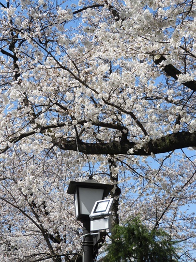 靖國神社