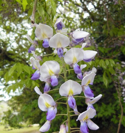 DSCN2228.JPG